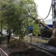 Варшава инвестиции в природу