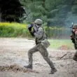 поляки в случае войны